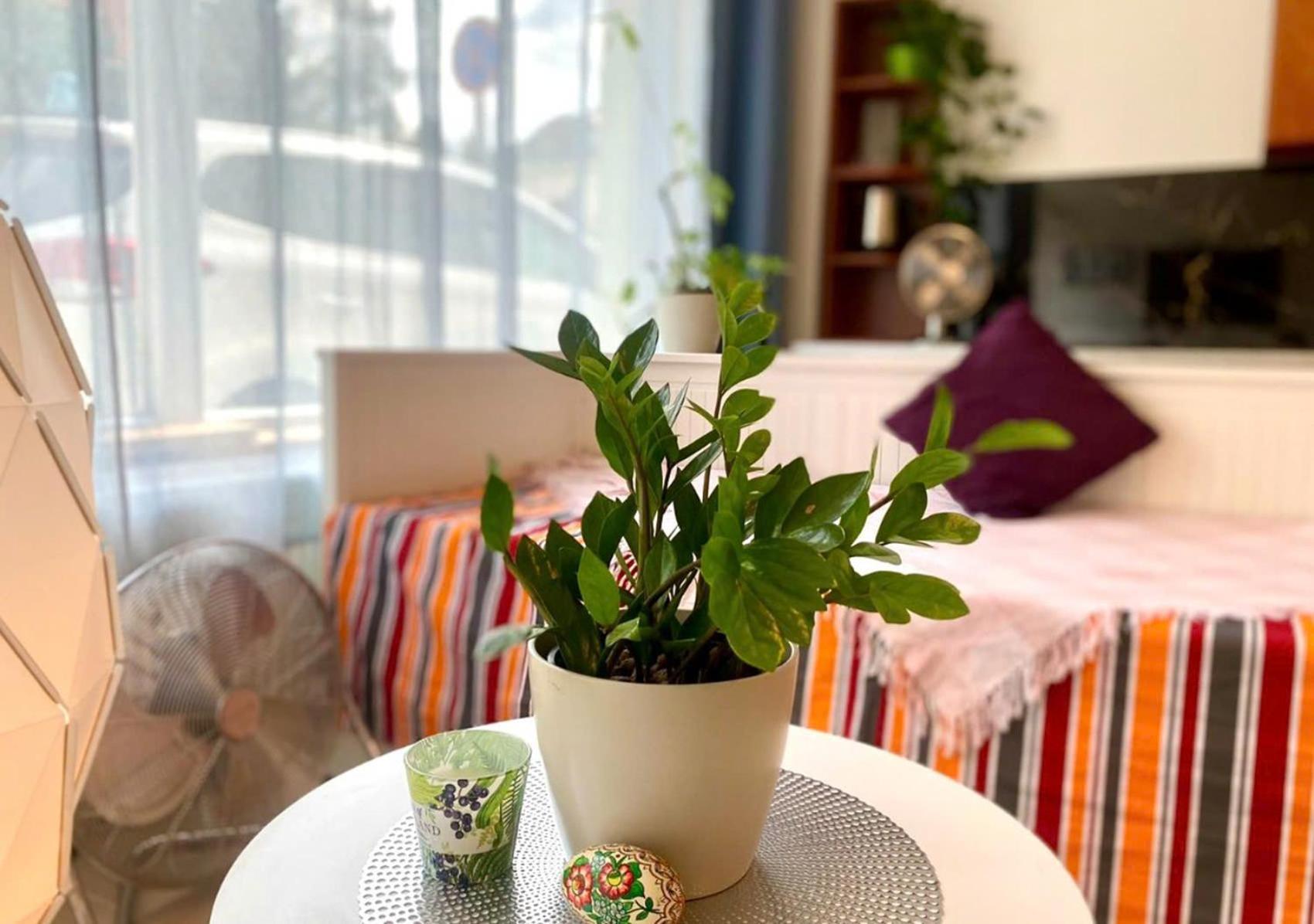 Green Studio Praha 2 L Ground Floor Free Parking Екстер'єр фото